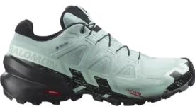 Salomon Women's Speedcross 6 GTX Aqua Black Yucca